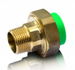 американка нар