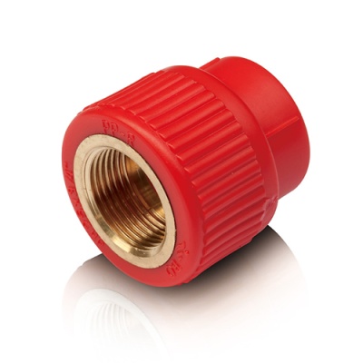 06fs-socket-fitting-with-brass