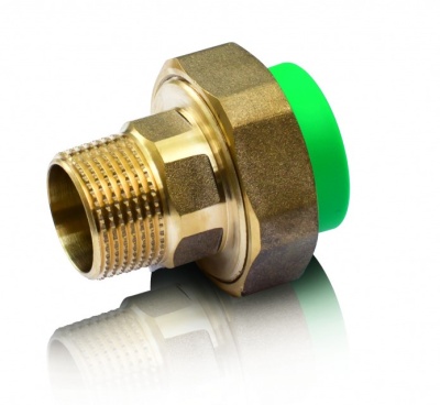 американка нар